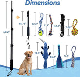 FelRelWel Flirt Pole for Dogs with multiple attachments and detailed dimensions for dog play
